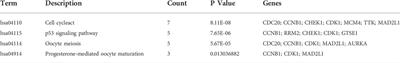 Identifying potential prognosis markers in hepatocellular carcinoma via integrated bioinformatics analysis and biological experiments